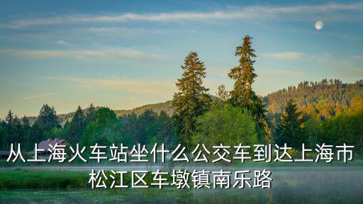 從上海火車站坐什么公交車到達上海市松江區車墩鎮南樂路