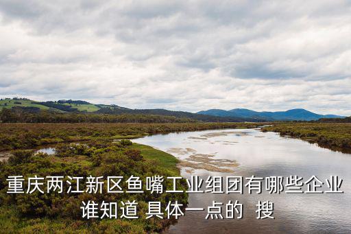 重慶兩江新區魚嘴工業組團有哪些企業 誰知道 具體一點的  搜