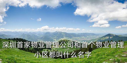 深圳首家物業(yè)管理公司和首個(gè)物業(yè)管理小區(qū)都叫什么名字