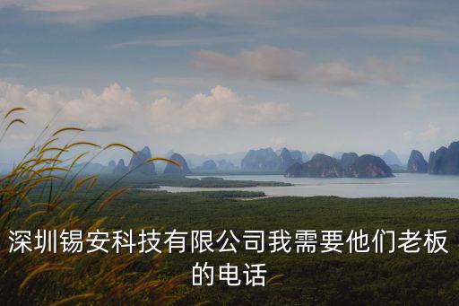 深圳錫安科技有限公司我需要他們老板的電話