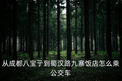 從成都八寶亍到蜀漢路九寨飯店怎么乘公交車