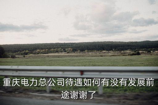 重慶電力總公司待遇如何有沒有發展前途謝謝了