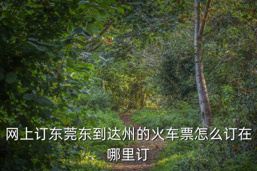 網上訂東莞東到達州的火車票怎么訂在哪里訂