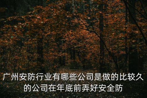 廣州安防行業有哪些公司是做的比較久的公司在年底前弄好安全防