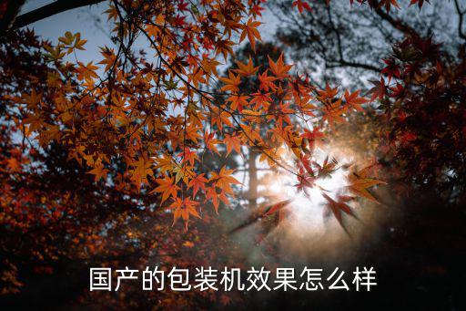 國產的包裝機效果怎么樣