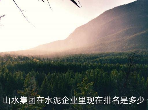 山水集團在水泥企業里現在排名是多少