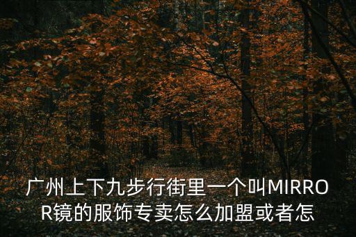 廣州上下九步行街里一個叫MIRROR鏡的服飾專賣怎么加盟或者怎