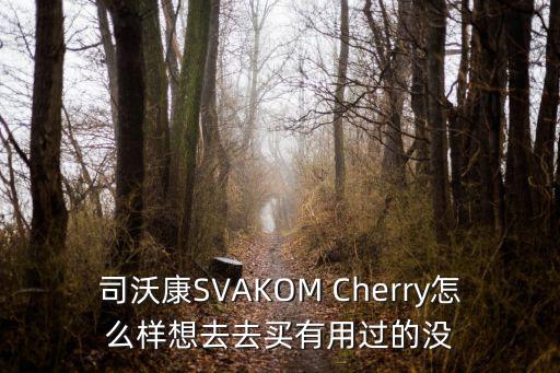 司沃康SVAKOM Cherry怎么樣想去去買有用過的沒