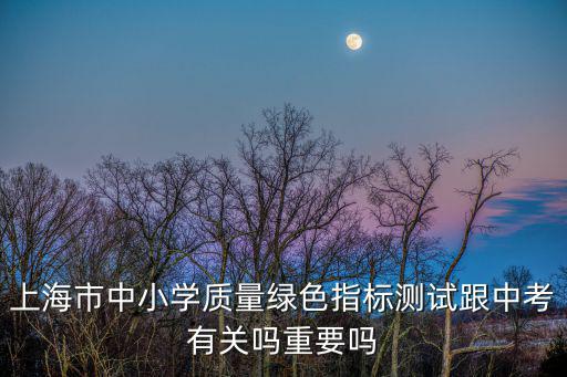 上海市中小學質量綠色指標測試跟中考有關嗎重要嗎