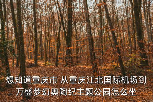 想知道重慶市 從重慶江北國際機場到萬盛夢幻奧陶紀主題公園怎么坐