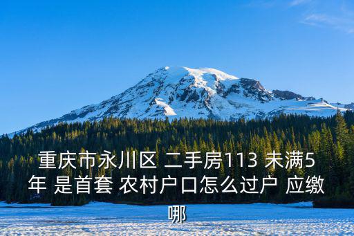 重慶市永川區 二手房113 未滿5年 是首套 農村戶口怎么過戶 應繳哪