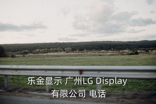 廣州lg洗衣機售后電話是多少錢，樂金顯示 廣州LG Display 有限公司 電話