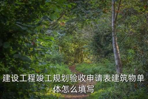 建設工程竣工規劃驗收申請表建筑物單體怎么填寫