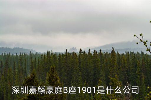 深圳嘉麟豪庭B座1901是什么公司