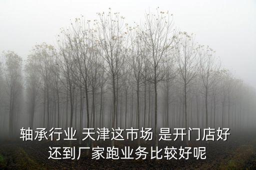 軸承行業(yè) 天津這市場 是開門店好 還到廠家跑業(yè)務(wù)比較好呢