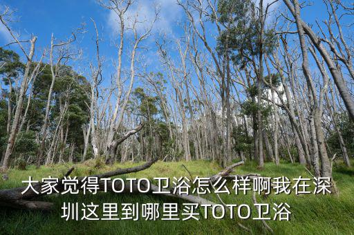 深圳toto，toto衛浴是哪里的品牌