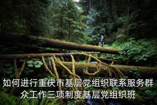 如何進行重慶市基層黨組織聯系服務群眾工作三項制度基層黨組織班