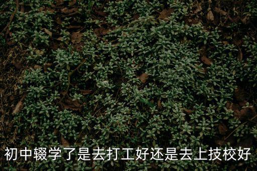 初中輟學了是去打工好還是去上技校好