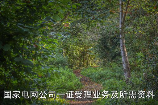 國家電網公司一證受理業務及所需資料