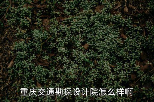 重慶交通勘探設計院怎么樣啊