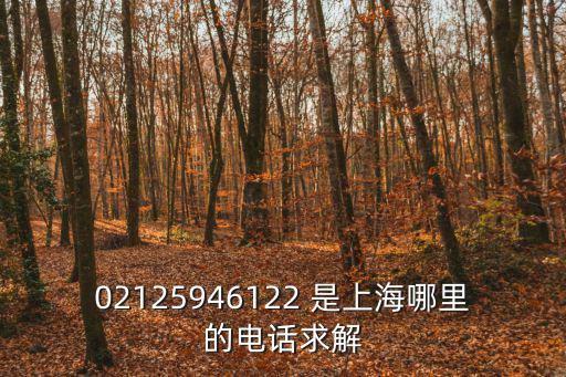 上海市數字認證中心電話，02125946122 是上海哪里的電話求解