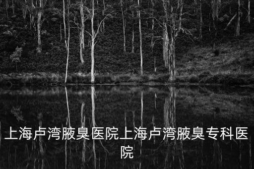 上海市政院浙江分院 王毅，請問浙江的護照在上海松江能不能旅游鑒證泰國的