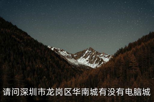 請問深圳市龍崗區(qū)華南城有沒有電腦城