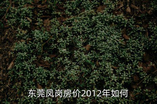東莞鳳崗房價2012年如何