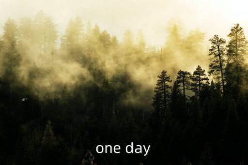 廣州oneday民宿預定，one day