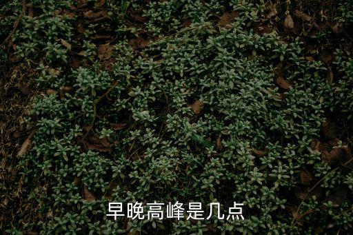 早晚高峰是幾點