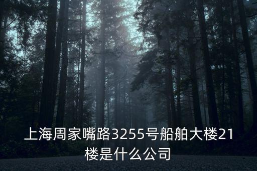 上海周家嘴路3255號船舶大樓21樓是什么公司