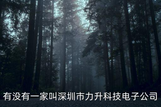 有沒有一家叫深圳市力升科技電子公司