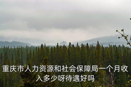 重慶市人力資源協會怎么樣，重慶人力資源行業好做嗎