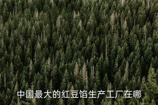 中國最大的紅豆餡生產工廠在哪