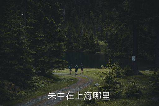 朱中在上海哪里