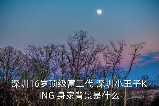深圳阿瑪尼少年背景，在深圳外表像小的黃色蘋果有黑色堅(jiān)硬的核是什么水果