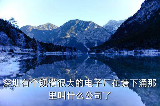 深圳有個規模很大的電子廠在塘下涌那里叫什么公司了