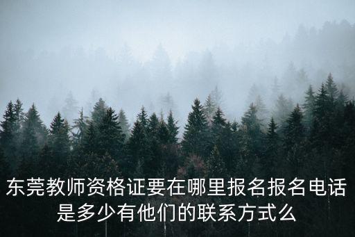東莞教師資格證要在哪里報名報名電話是多少有他們的聯系方式么
