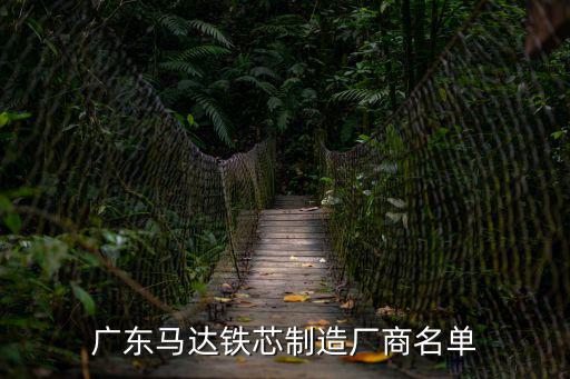廣東馬達鐵芯制造廠商名單