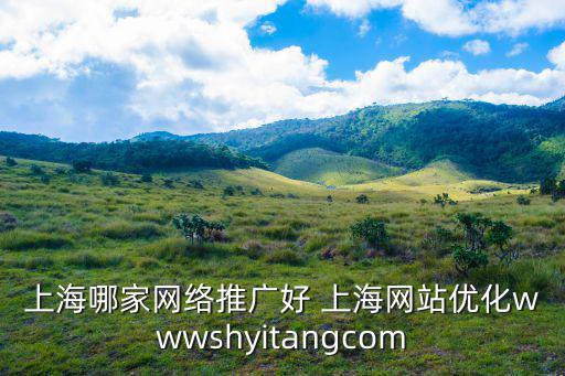 上海哪家網絡推廣好 上海網站優化wwwshyitangcom