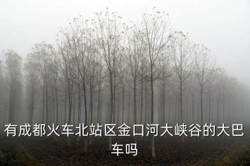 有成都火車北站區(qū)金口河大峽谷的大巴車嗎
