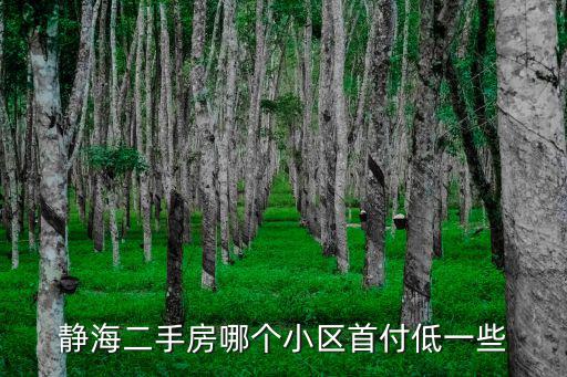 靜海二手房哪個小區首付低一些