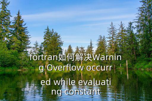 fortran如何解決Warning Overflow occurred while evaluating constant