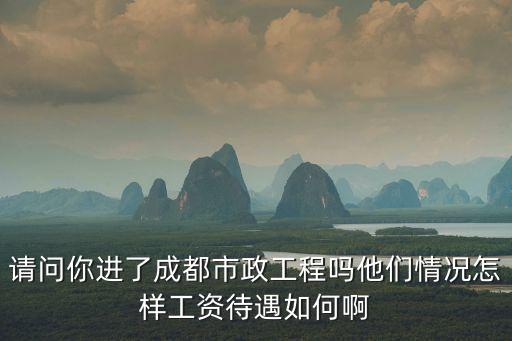 請問你進了成都市政工程嗎他們情況怎樣工資待遇如何啊
