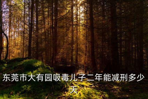 東莞市大有園吸毒兒子二年能減刑多少天
