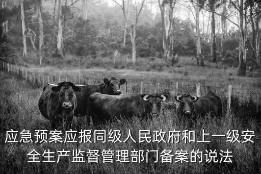 應(yīng)急預(yù)案應(yīng)報(bào)同級(jí)人民政府和上一級(jí)安全生產(chǎn)監(jiān)督管理部門(mén)備案的說(shuō)法