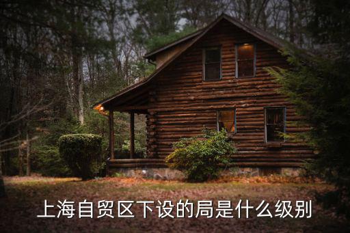 上海自貿區下設的局是什么級別