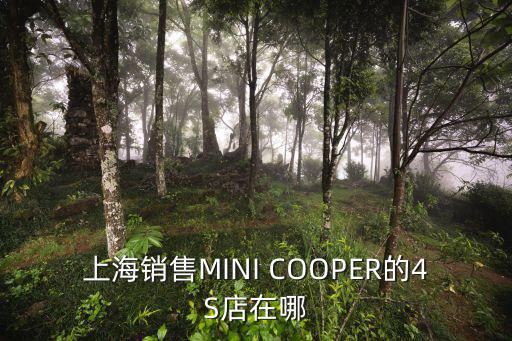 上海銷售MINI COOPER的4S店在哪