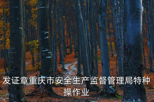 發證章重慶市安全生產監督管理局特種操作業