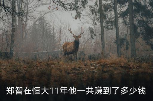 鄭智在恒大11年他一共賺到了多少錢